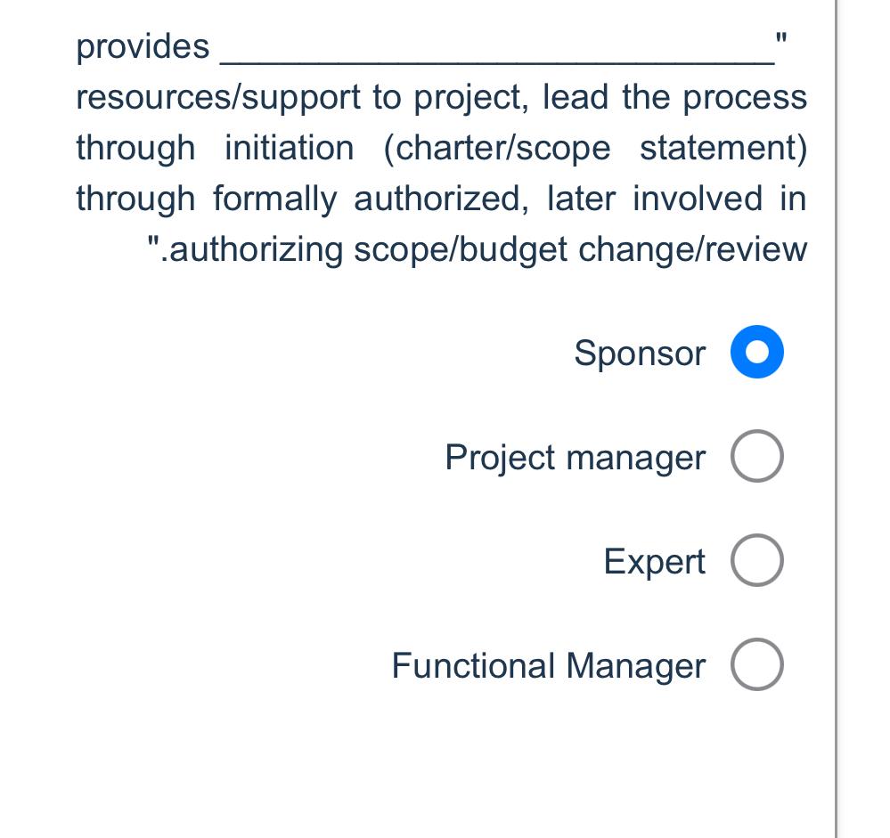  provides resources/support to project, lead the process through initiation (charter/scope statement)