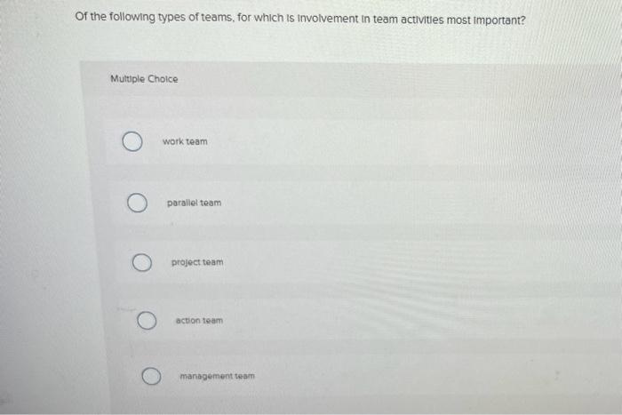are one or primary ways that organizations get things done development team