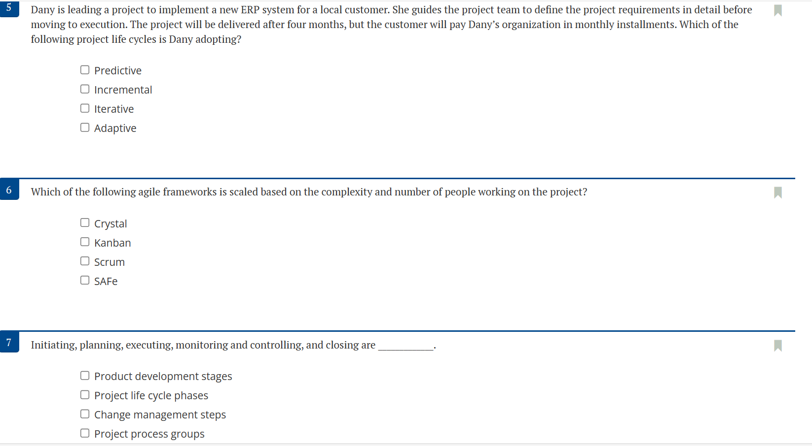 can be adopted by the project manager? Wireframing, prototyping, designing, developing, testing,