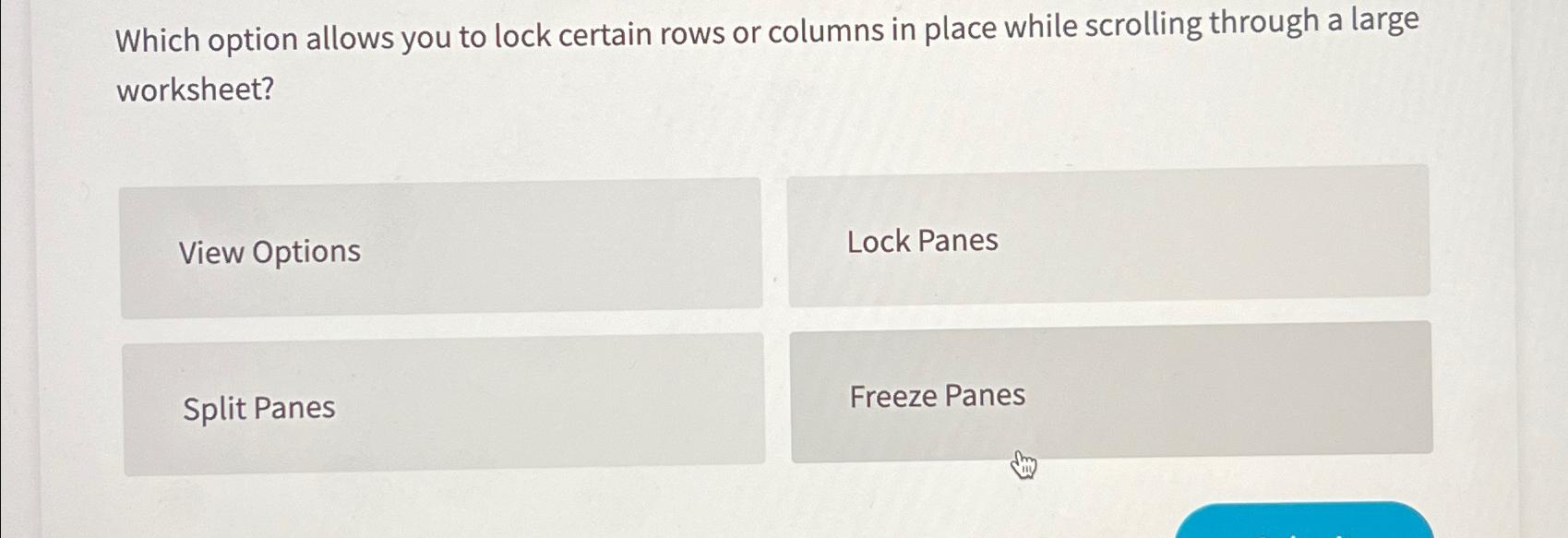  Which option allows you to lock certain rows or columns in