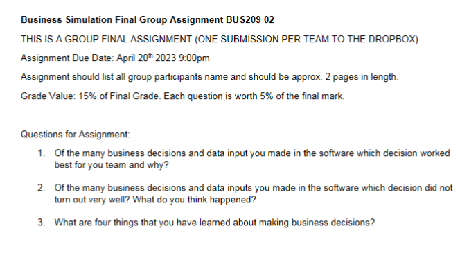  Business Simulation Final Group Assignment BUS209-02 THIS IS A GROUP FINAL