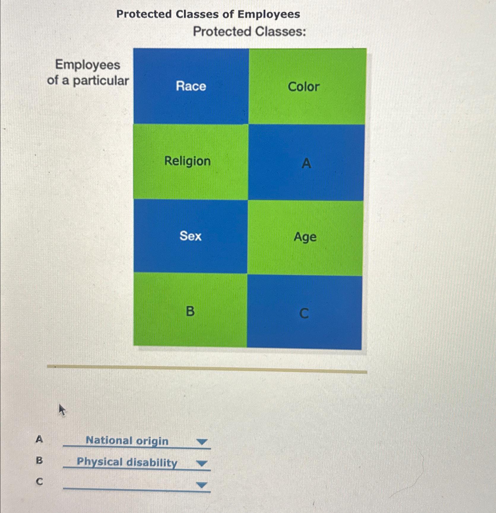  Protected Classes of Employees Protected Classes: \table[[\table[[Employees],[of a particular]],Race],[Religion,],[Sex,A],[B,Age]] A National