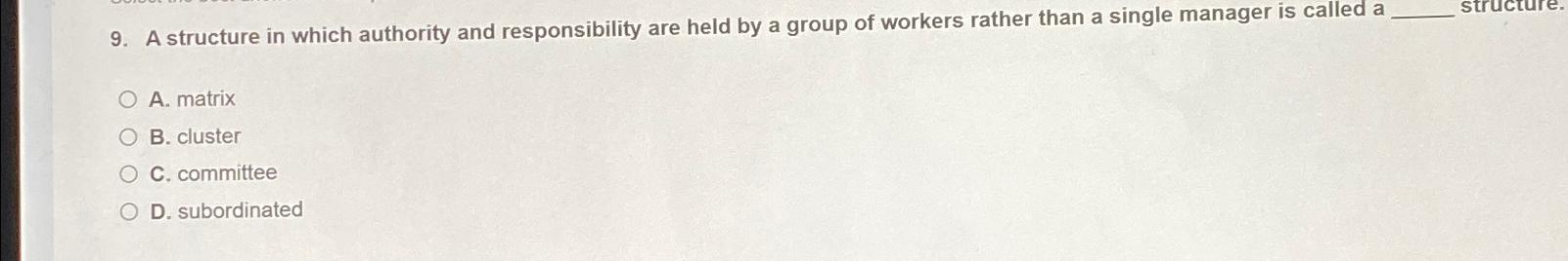  A structure in which authority and responsibility are held by a