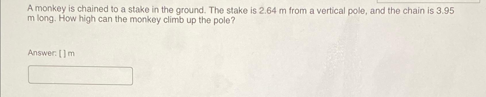  A monkey is chained to a stake in the ground. The