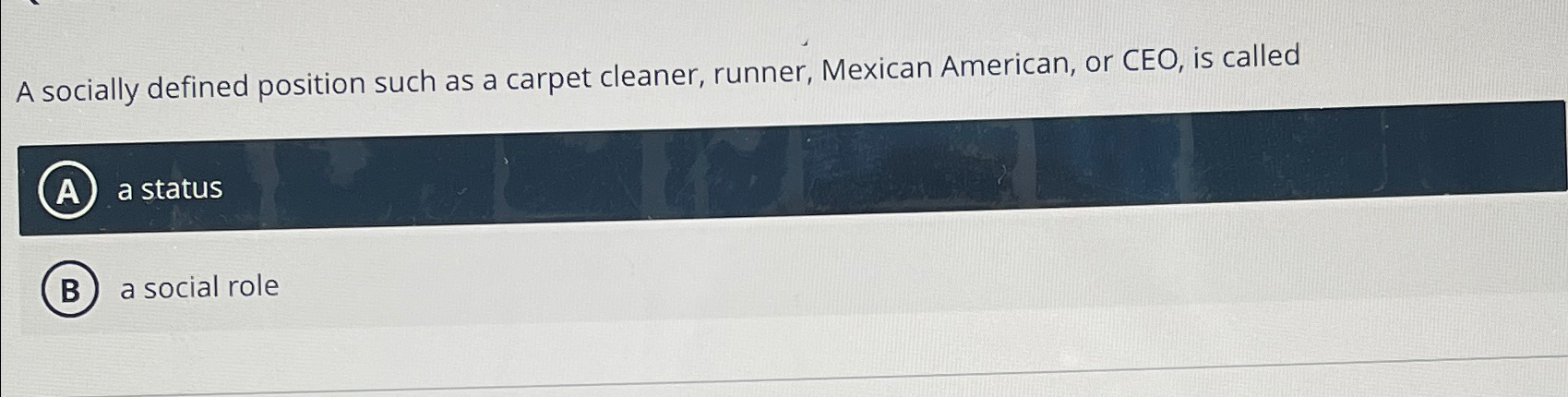  A socially defined position such as a carpet cleaner, runner, Mexican