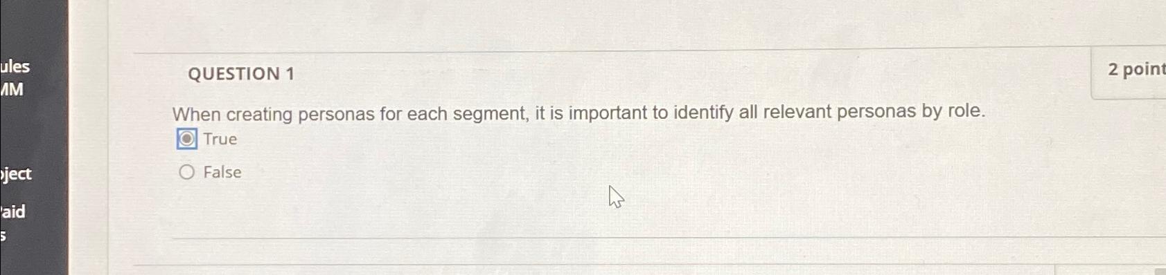  QUESTION 1 2 point When creating personas for each segment, it
