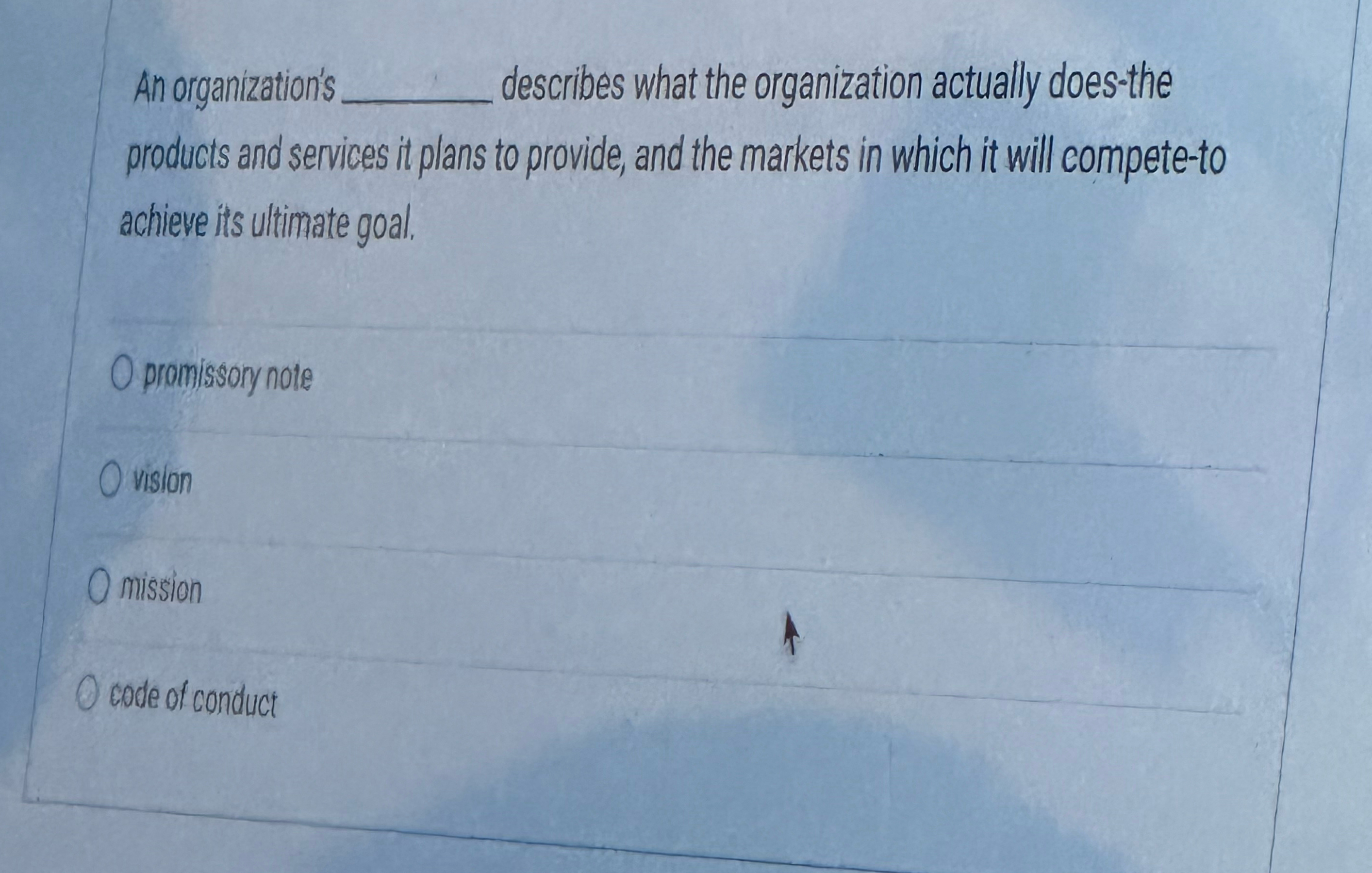  An organization's Blank describes what the organization actually does-the products and