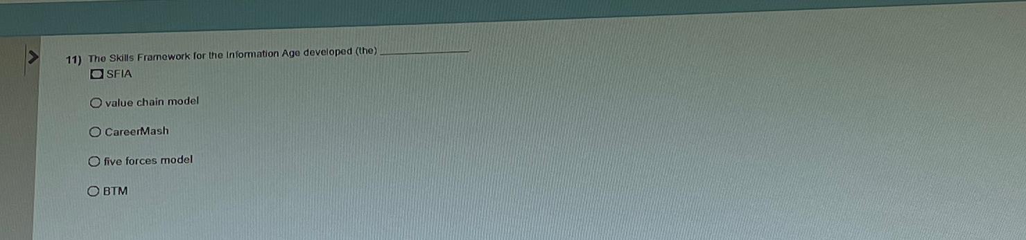  The Skills Framework for the Information Age developed (the) SFIA value