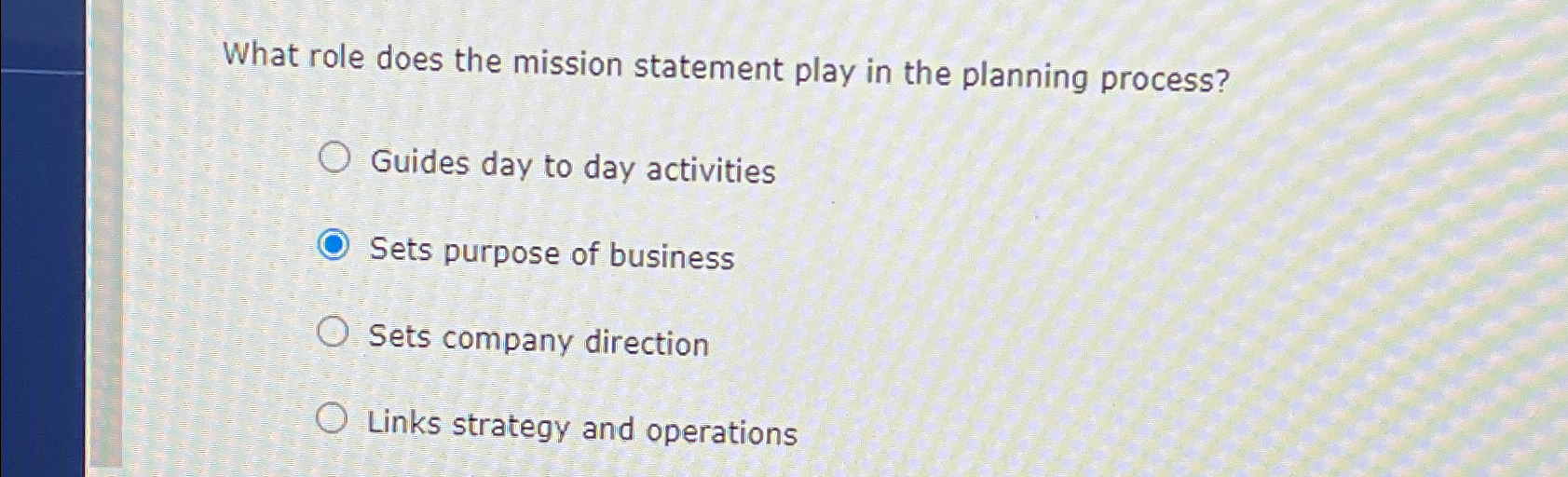  What role does the mission statement play in the planning process?