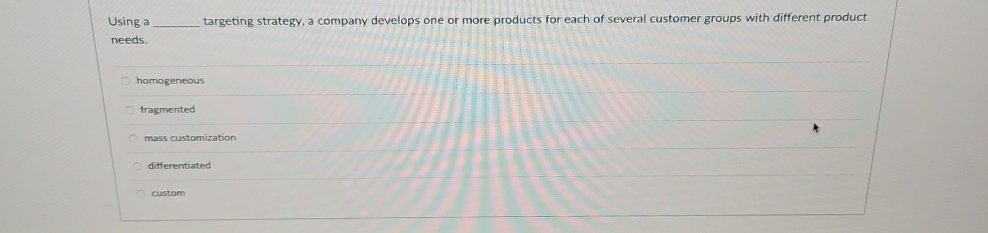  Using a targeting strategy, a company develops one or more products