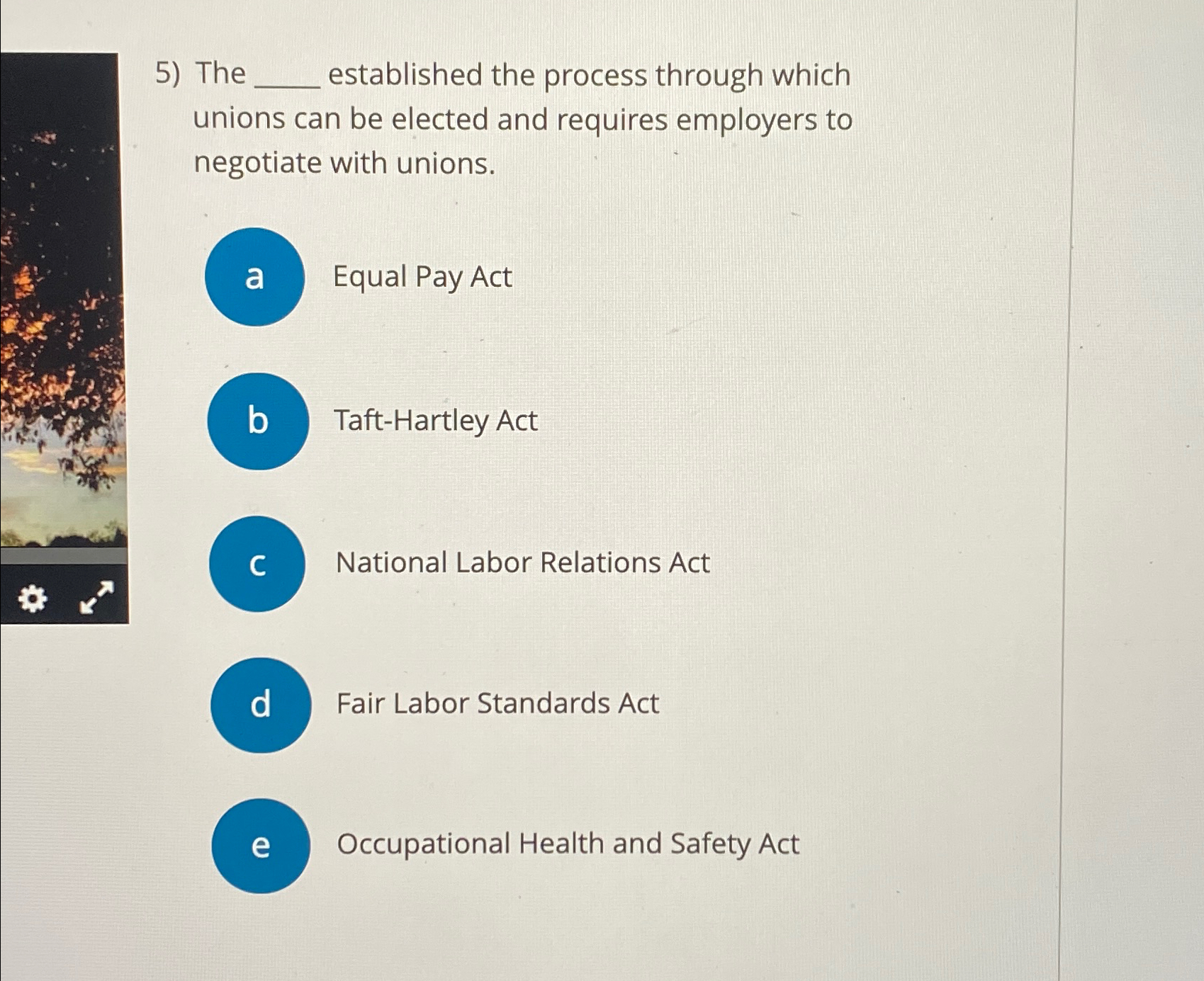  The established the process through which unions can be elected and