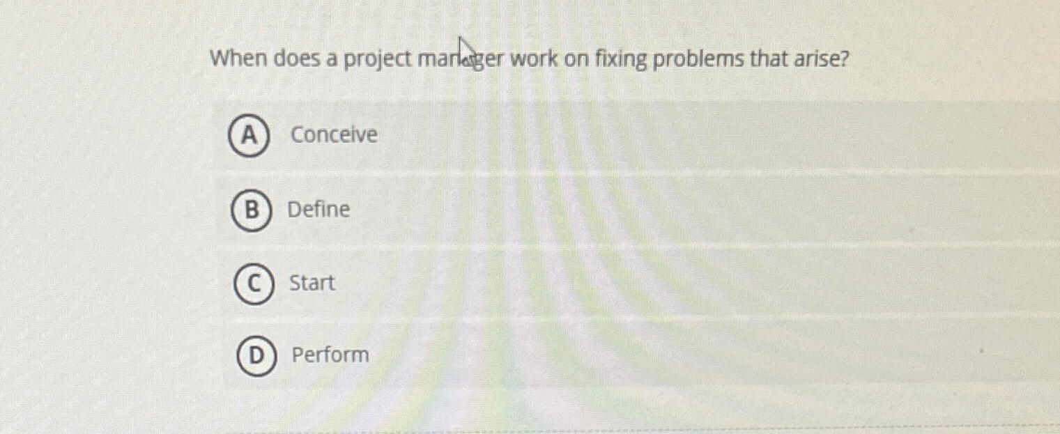  When does a project markiger work on fixing problems that arise?