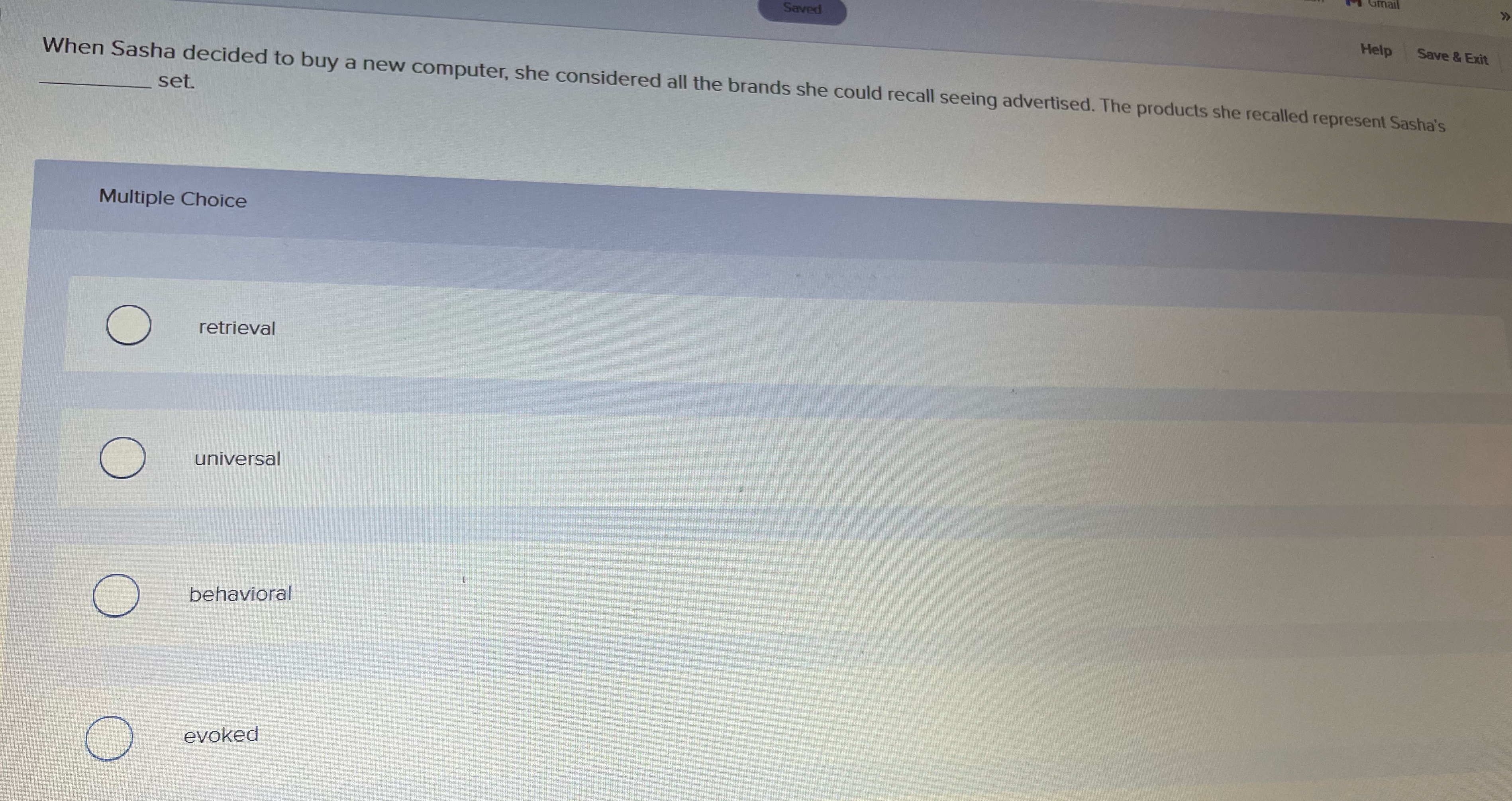  When Sasha decided to buy a new computer, she considered all