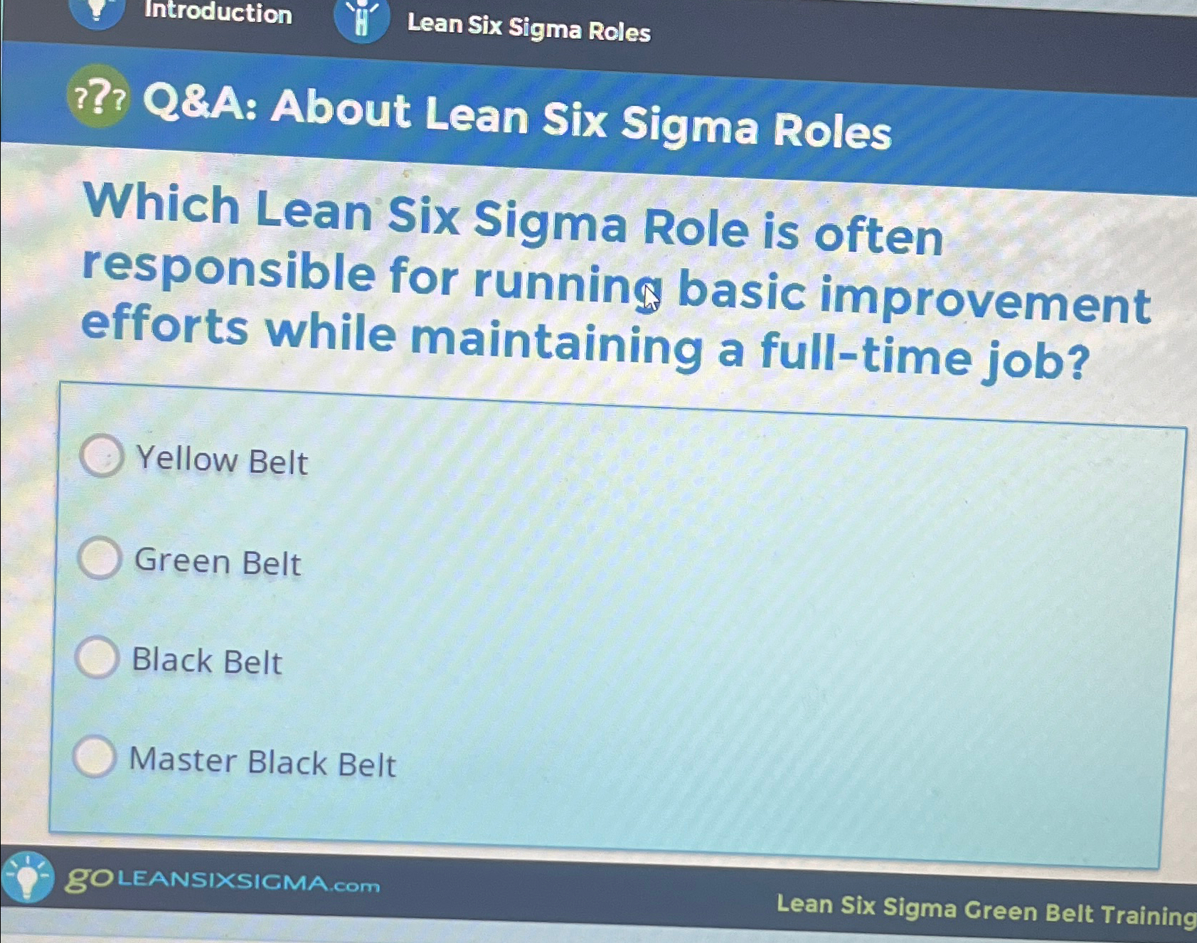  ??? Q&A: About Lean Six Sigma Roles Which Lean Six Sigma
