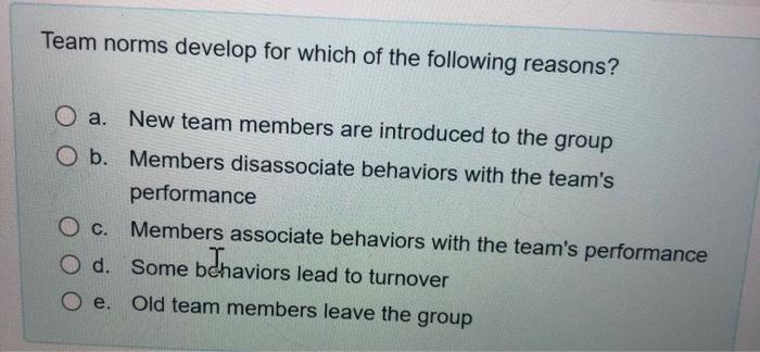 what is the final answer its not clear Team norms develop for