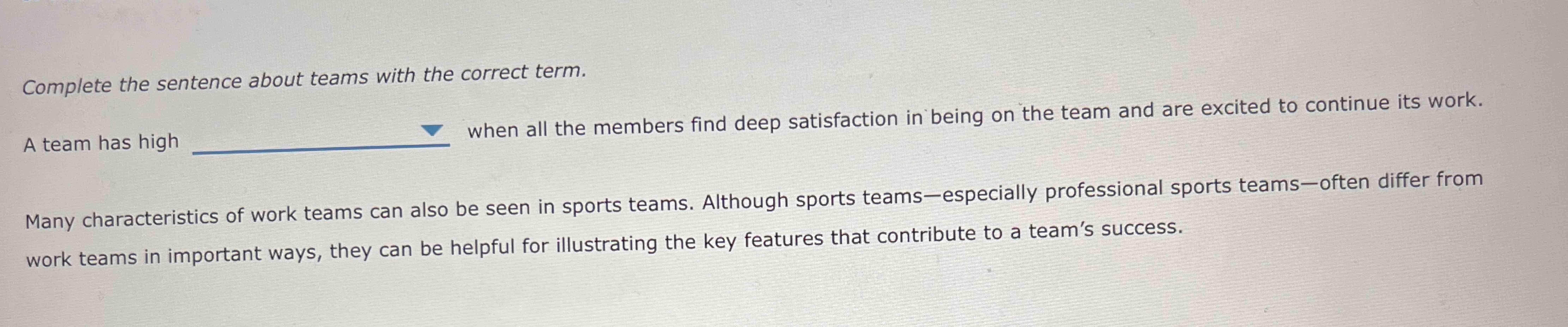  Complete the sentence about teams with the correct term. A team