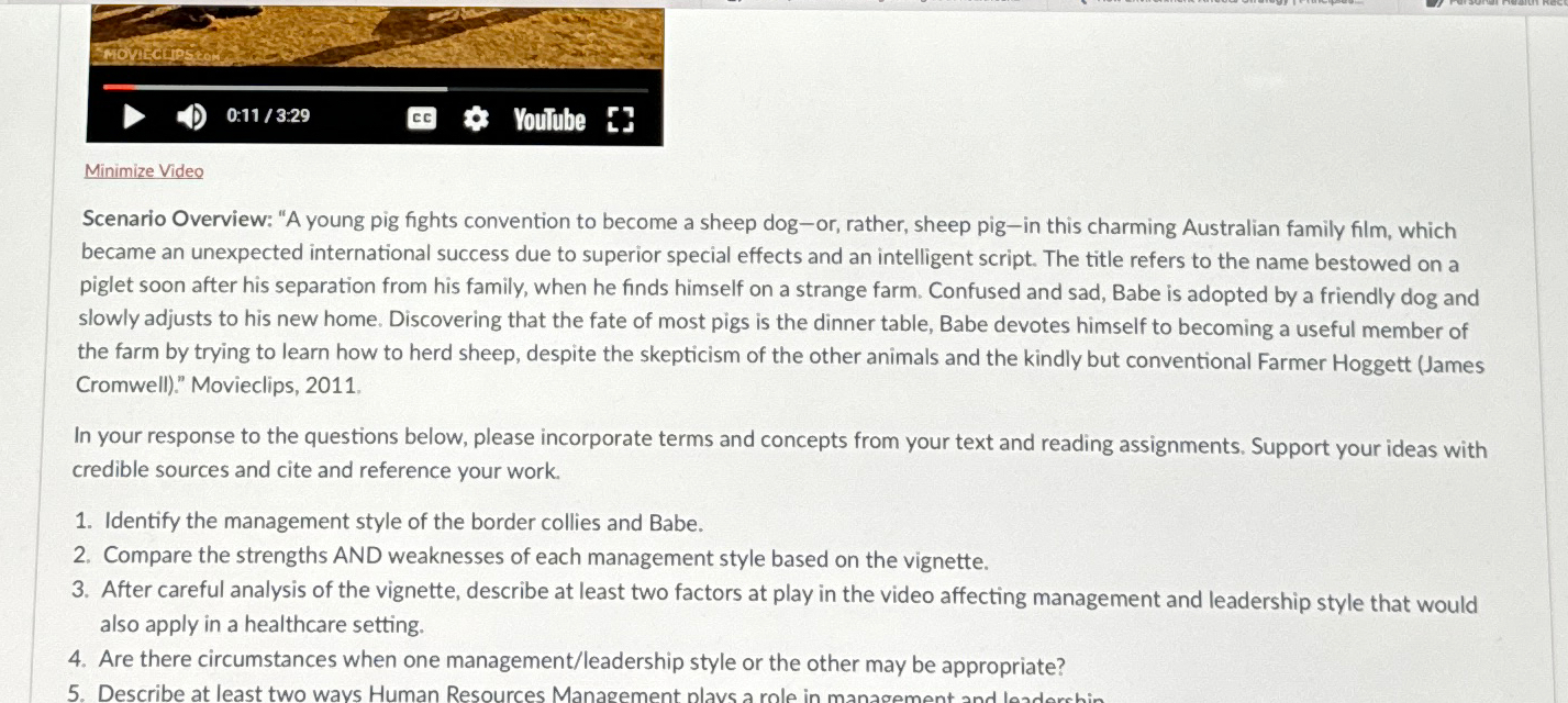  0:11/3:29 cc Minimize Video Scenario Overview: "A young pig fights convention