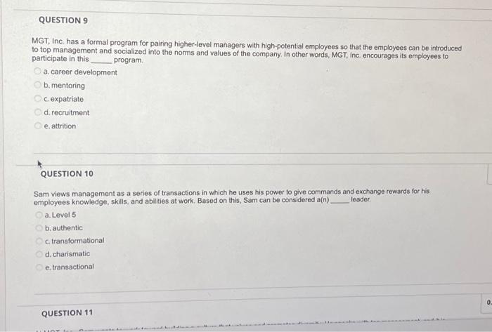  MGT, Inc. has a formal program for pairing higher-level managers with