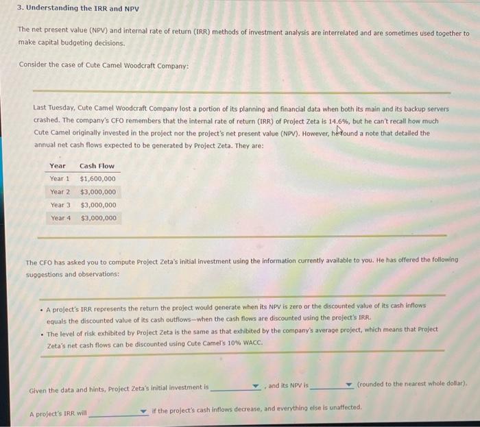 help 3. Understanding the IRR and NPV The net present value (NPV)