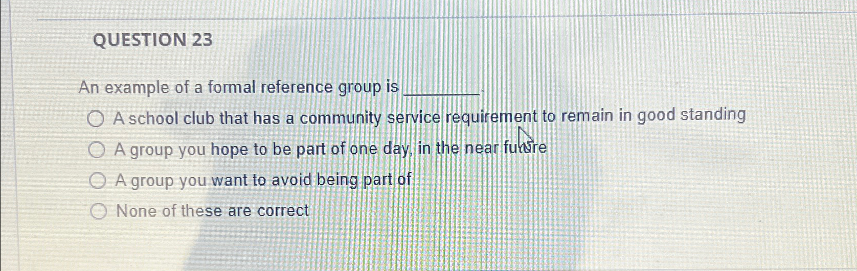  QUESTION 23 An example of a formal reference group is A