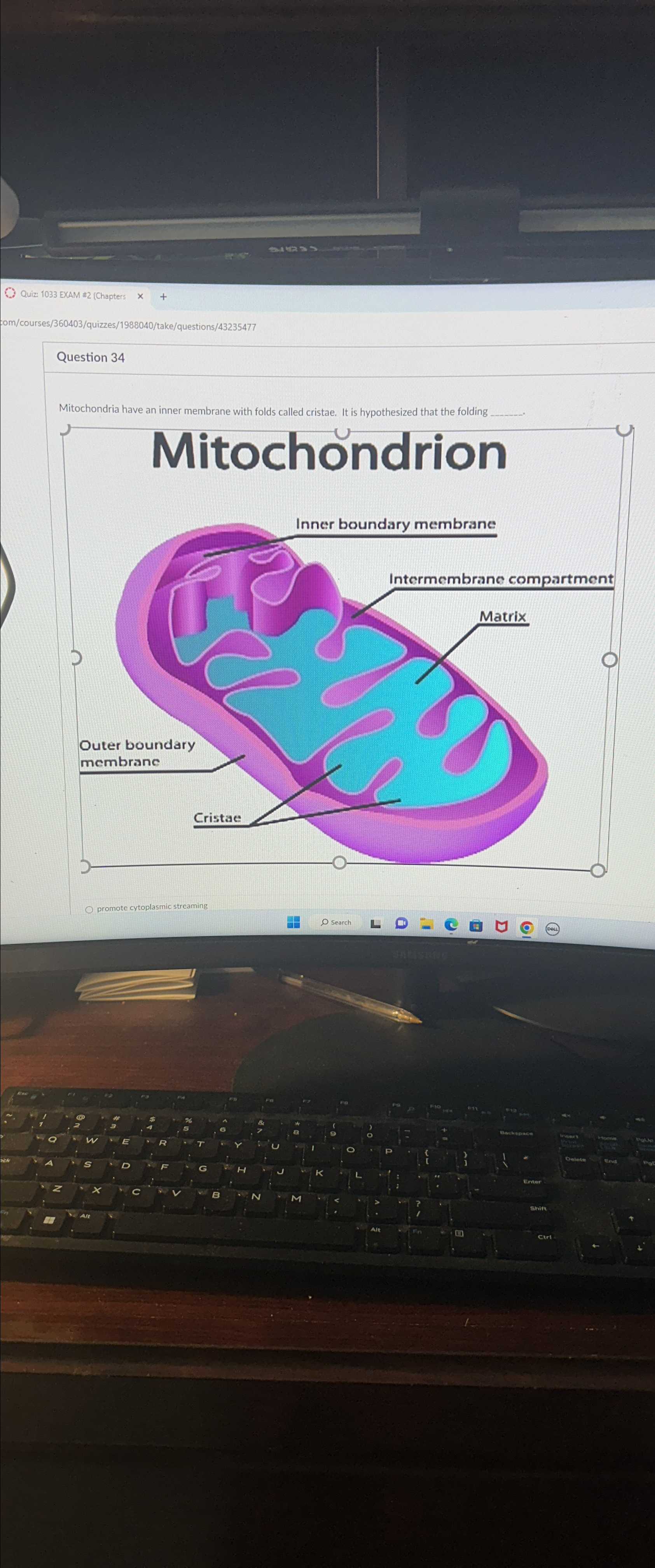  Mitochoudrion 