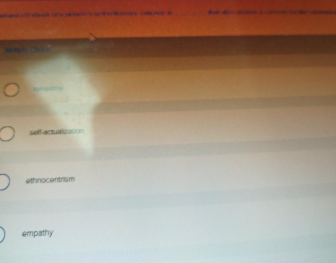  self-actualization ethnocentrism empathy 