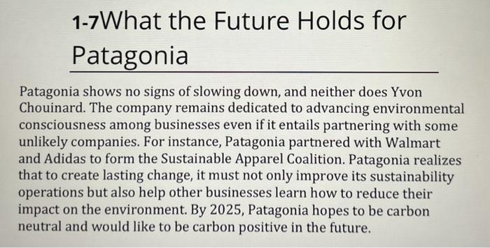 1. Describe the values and principles of Patagonia. Review their core values