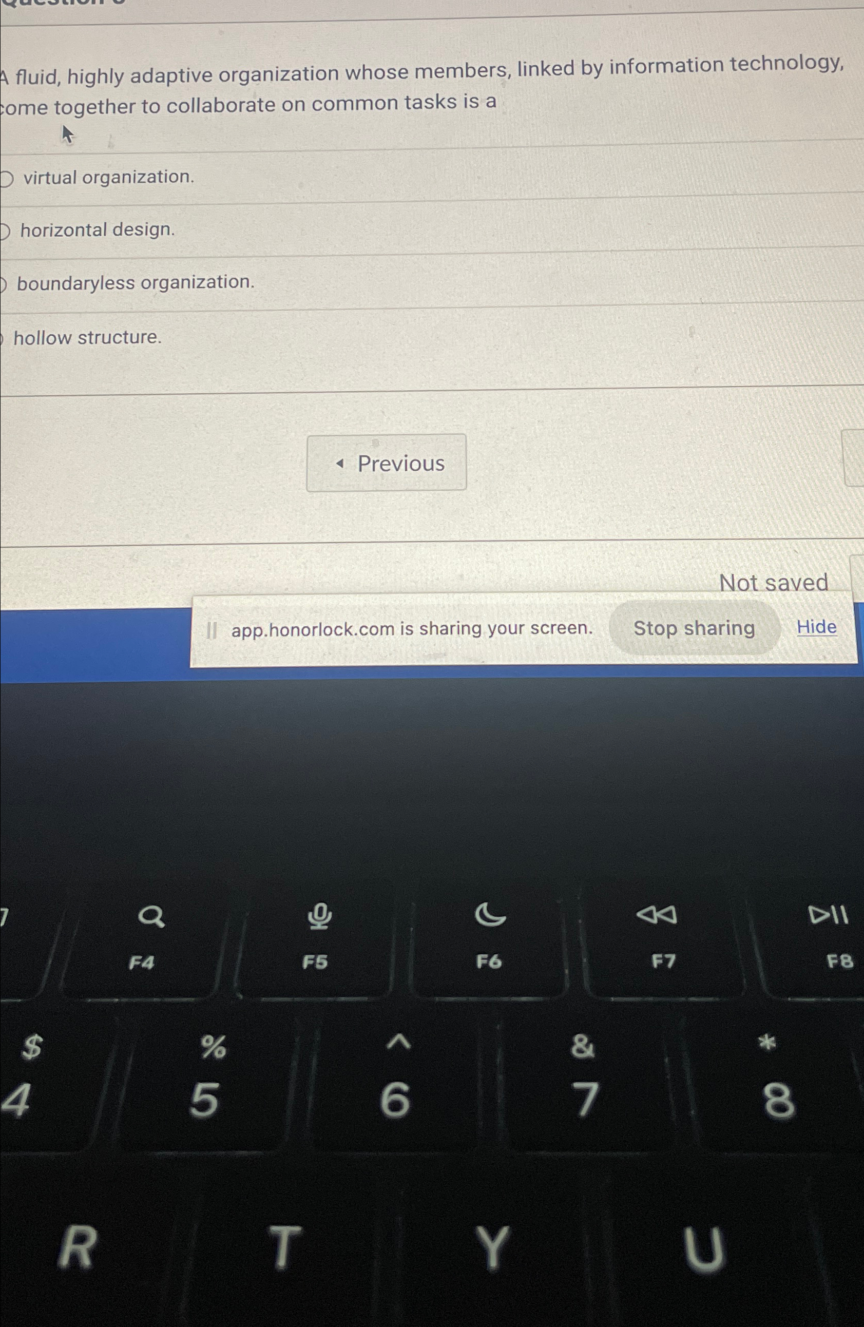  A fluid, highly adaptive organization whose members, linked by information technology,