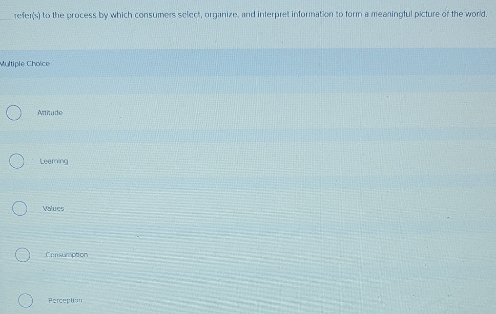  refer(s) to the process by which consumers select, organize, and interpret