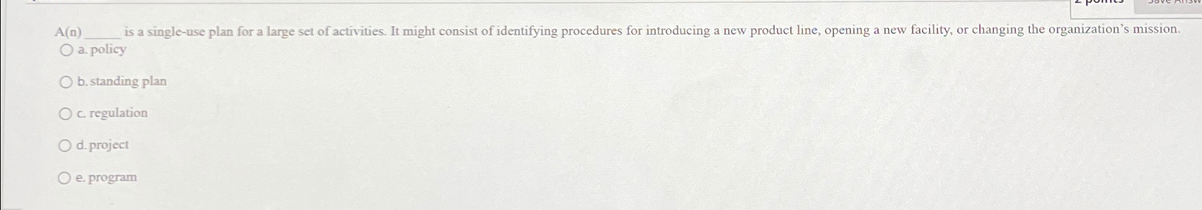  A(n) is a single-use plan for a large set of activities.