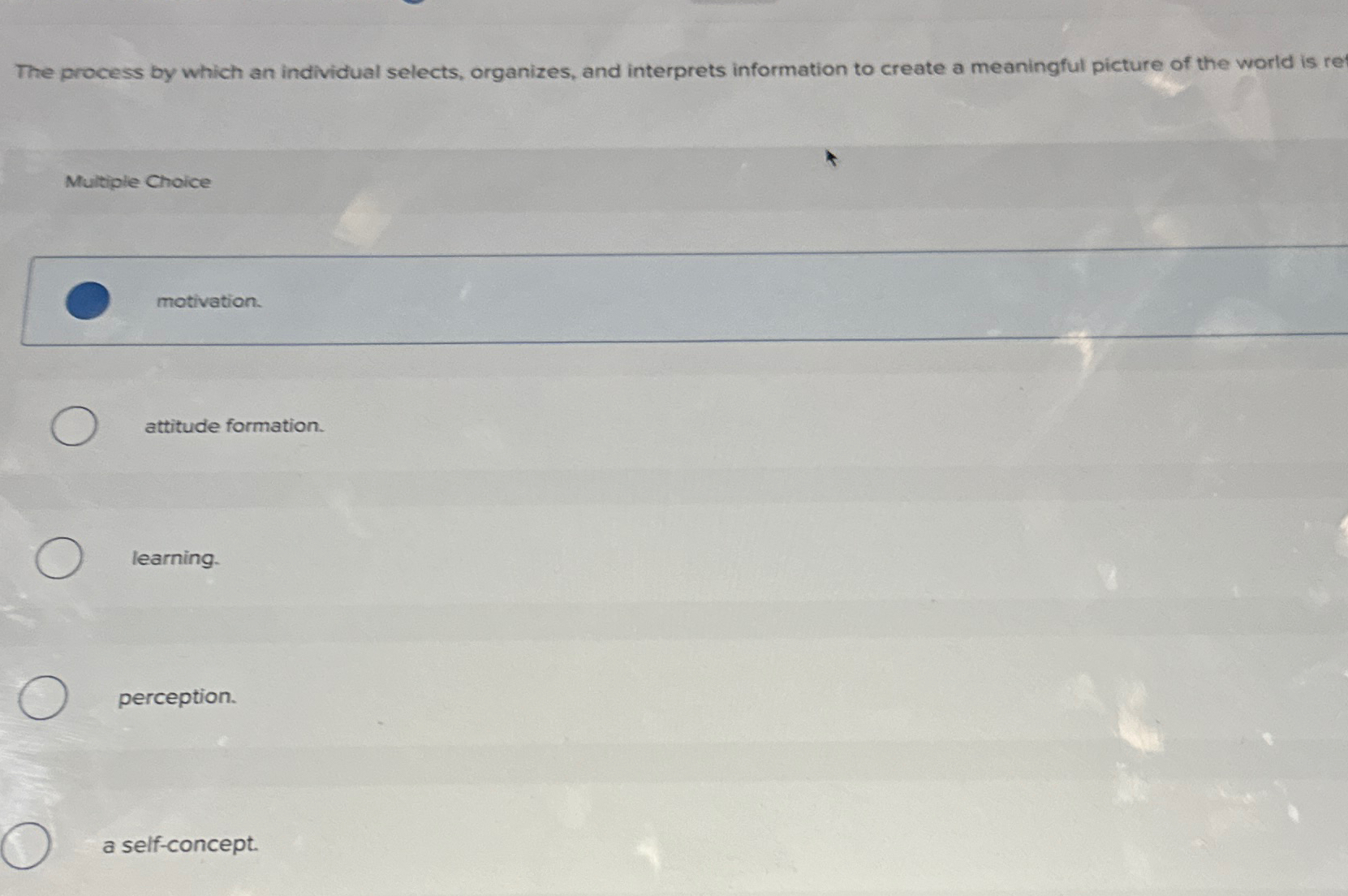  The process by which an individual selects, organizes, and interprets information