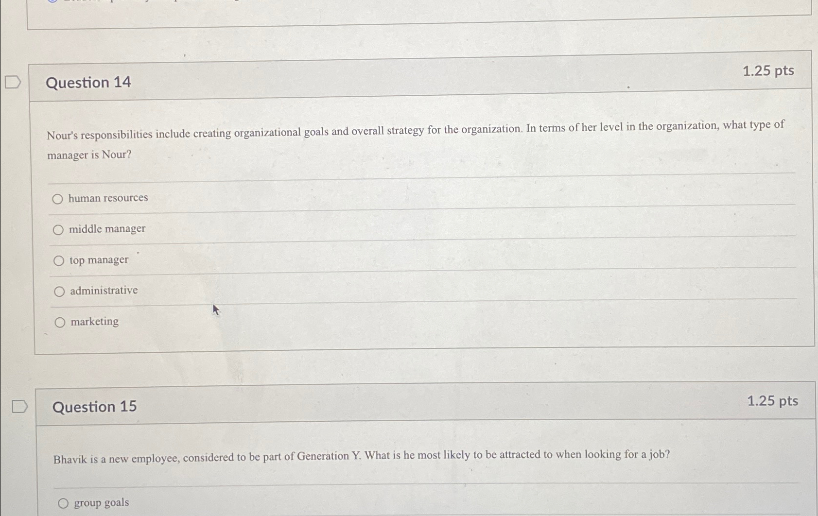  Question 14 1.25pts Nour's responsibilities include creating organizational goals and overall