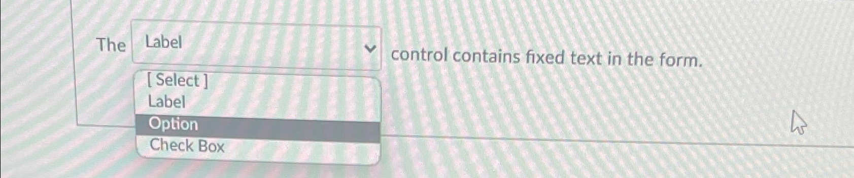  The control contains fixed text in the form. 