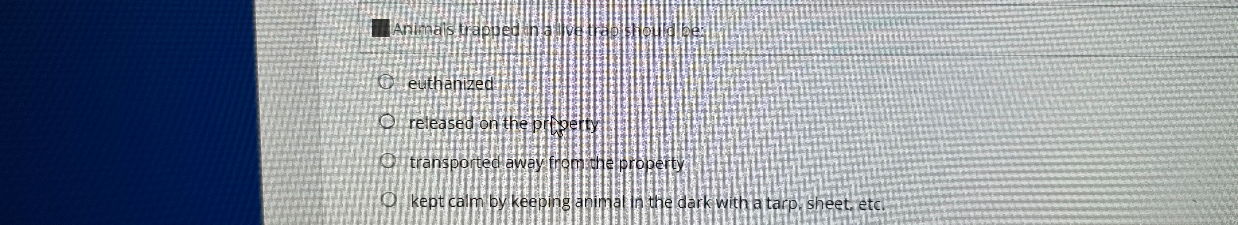  Animals trapped in a live trap should be: euthanized released on
