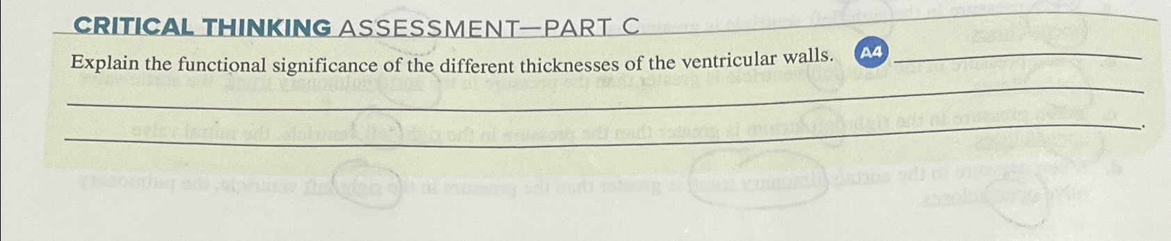  CRITICAL THINKING ASSESSMENT-PART C Explain the functional significance of the different