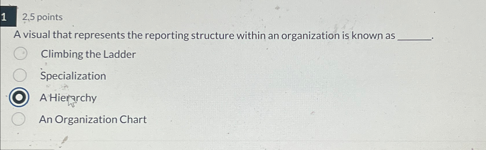  12,5 points A visual that represents the reporting structure within an