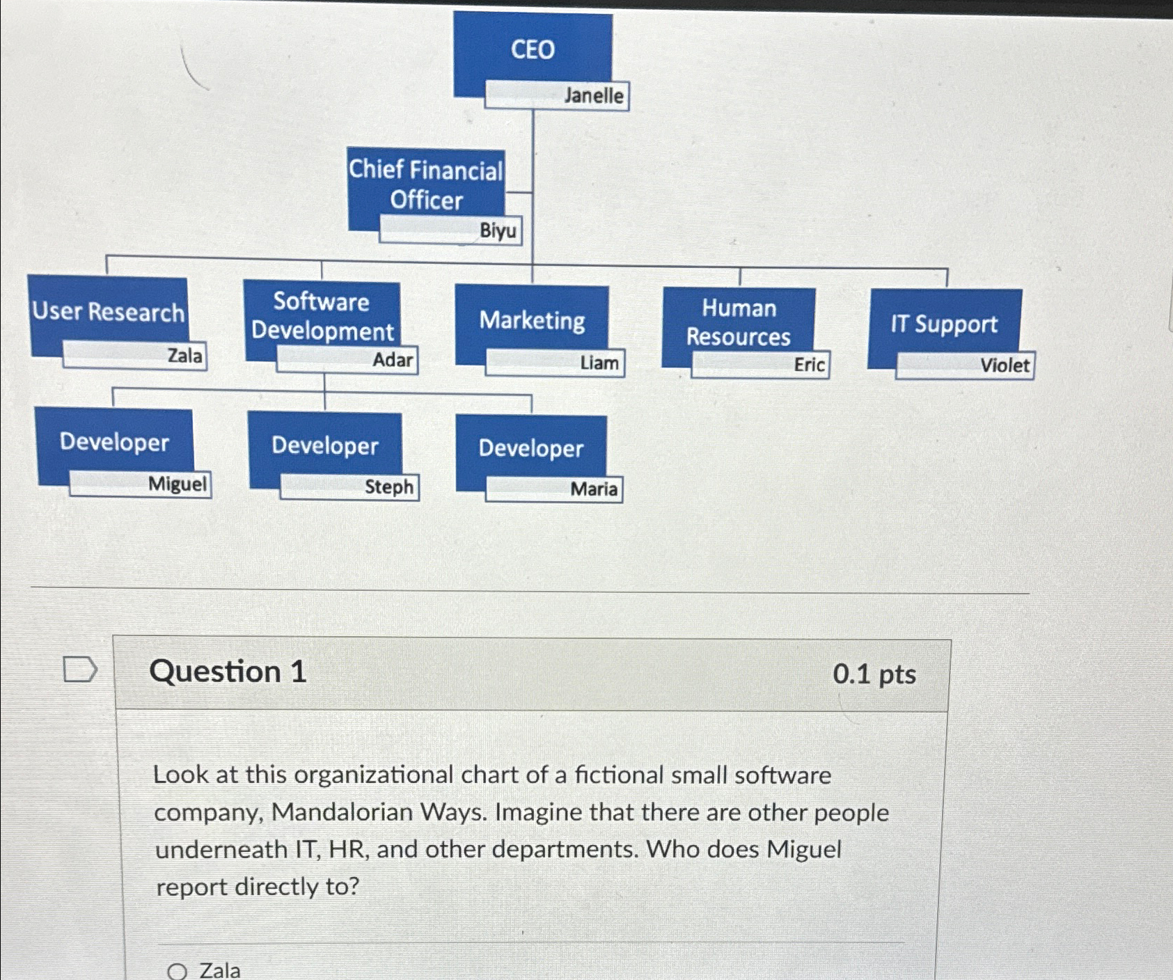  Question 1 0.1pts Look at this organizational chart of a fictional