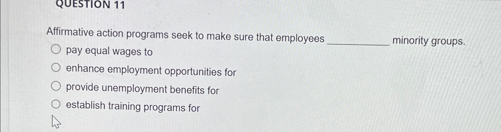  QUESTION 11 Affirmative action programs seek to make sure that employees
