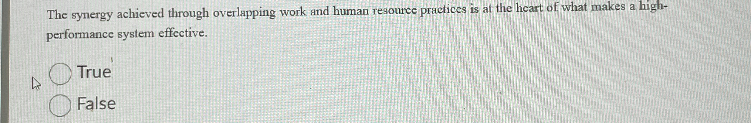  The synergy achieved through overlapping work and human resource practices is
