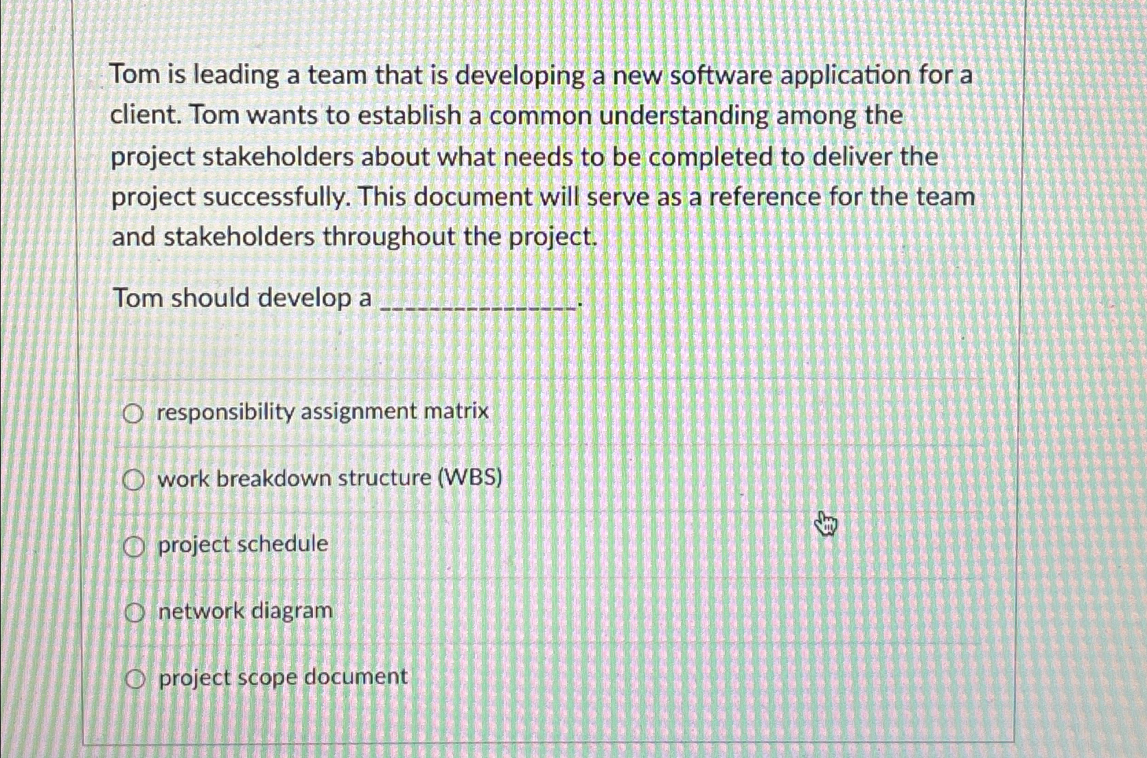  Tom is leading a team that is developing a new software