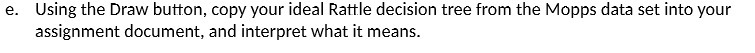 e. Using the Draw button, copy your ideal Rattle decision tree