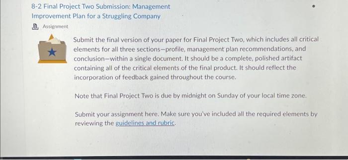  8-2 Final Project Two Submission: Management Improvement Plan for a Struggling