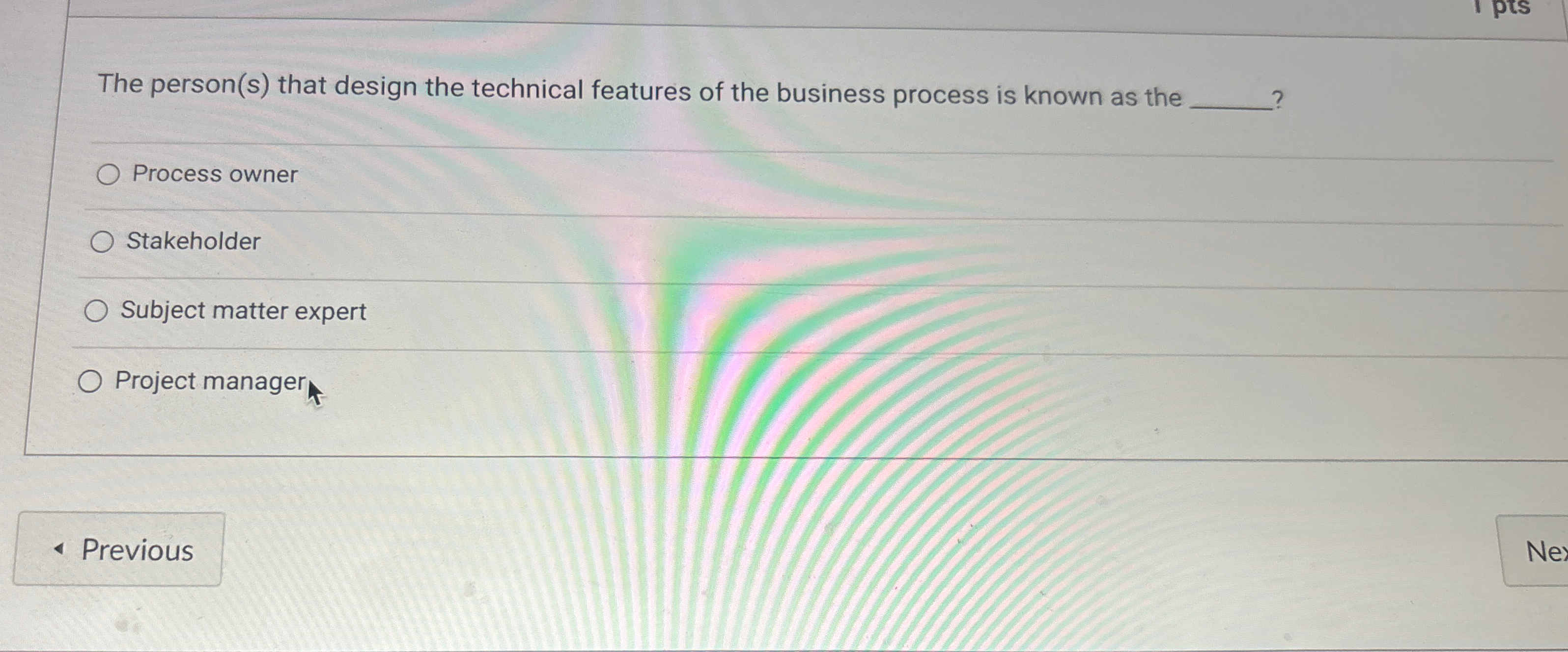  The person(s) that design the technical features of the business process