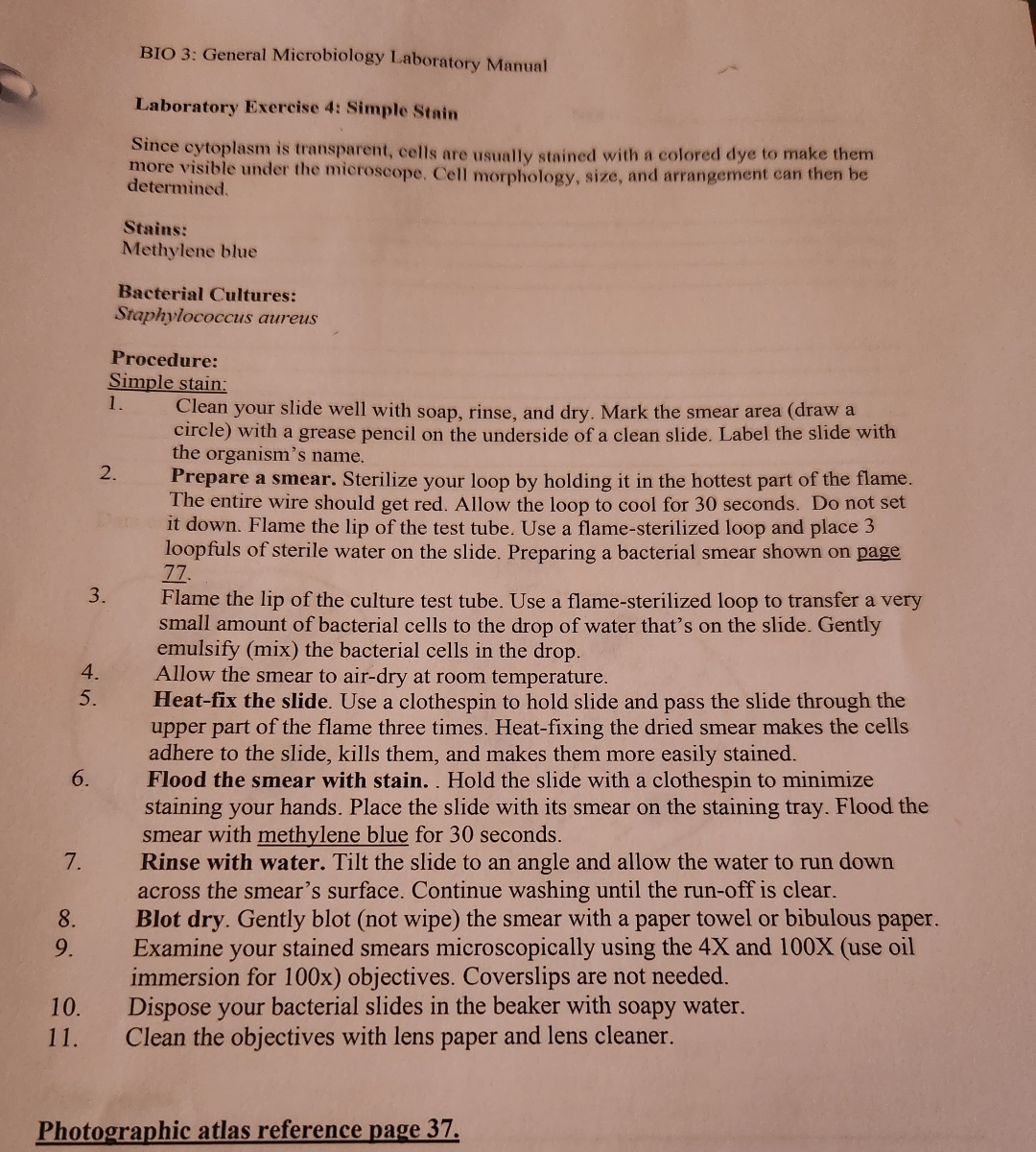  purpose background and conclusion 