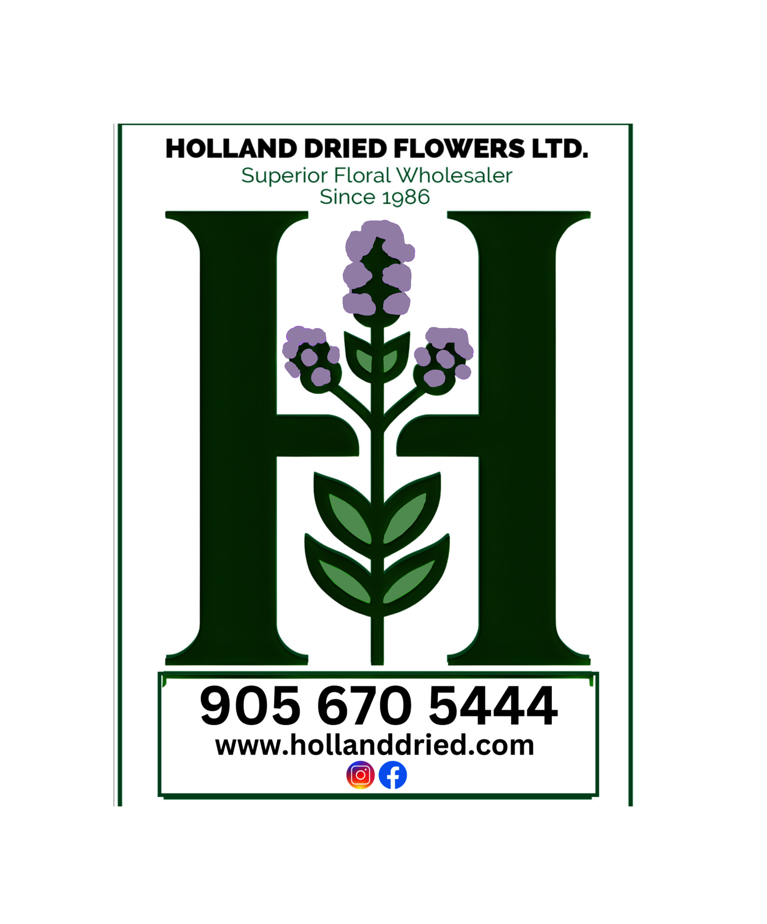 School project-Please reduce the H by one third because this is a