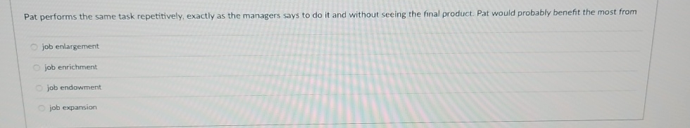  Pat performs the same task repetitively, exactly as the managers says