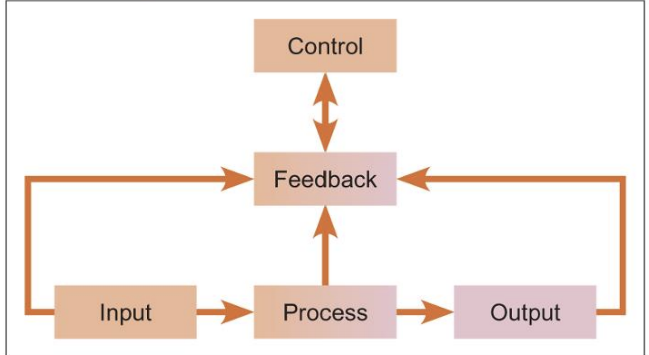 Work Systems Defined A work system is a system in which human