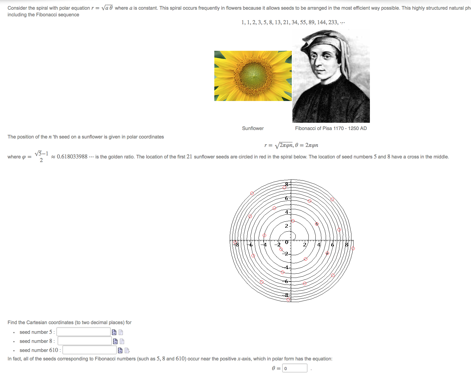 i totally do not understand this question.how can i calculate this question.please