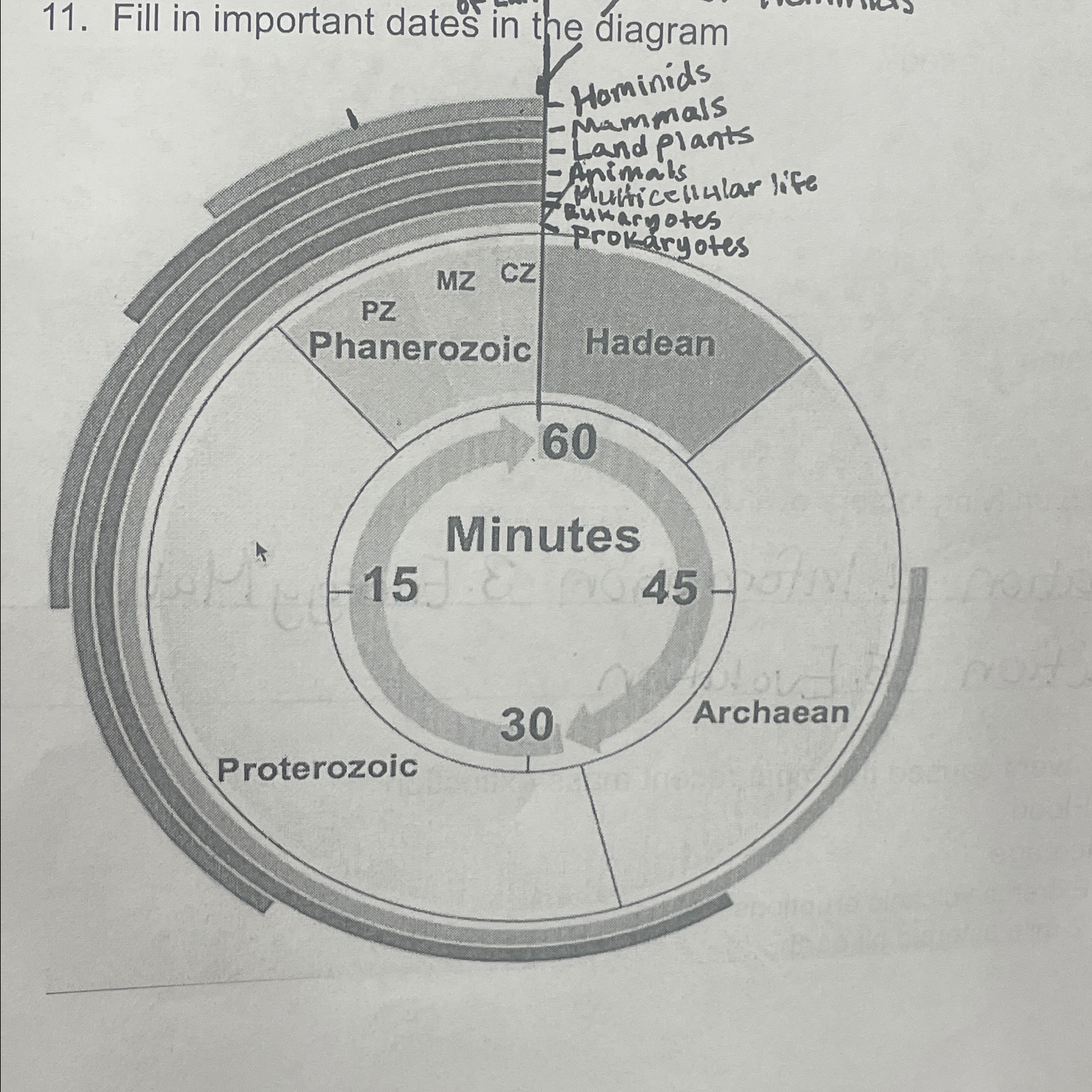  Fill in important dates in the diagram 