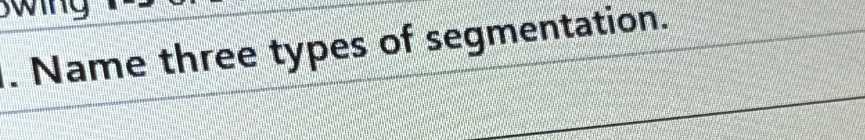  Name three types of segmentation. 